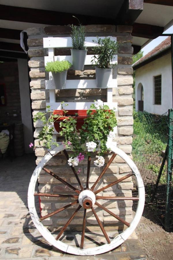 Palic Vila Masa Pr Emina Stipancevic Экстерьер фото