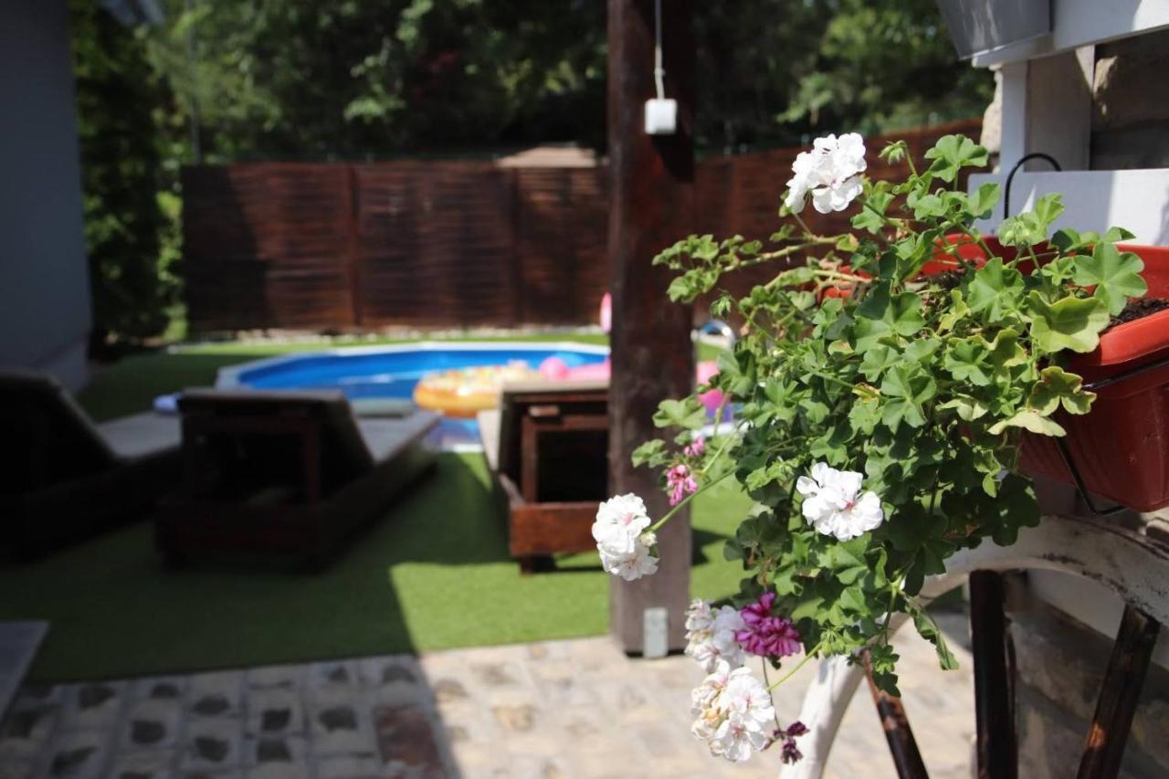 Palic Vila Masa Pr Emina Stipancevic Экстерьер фото