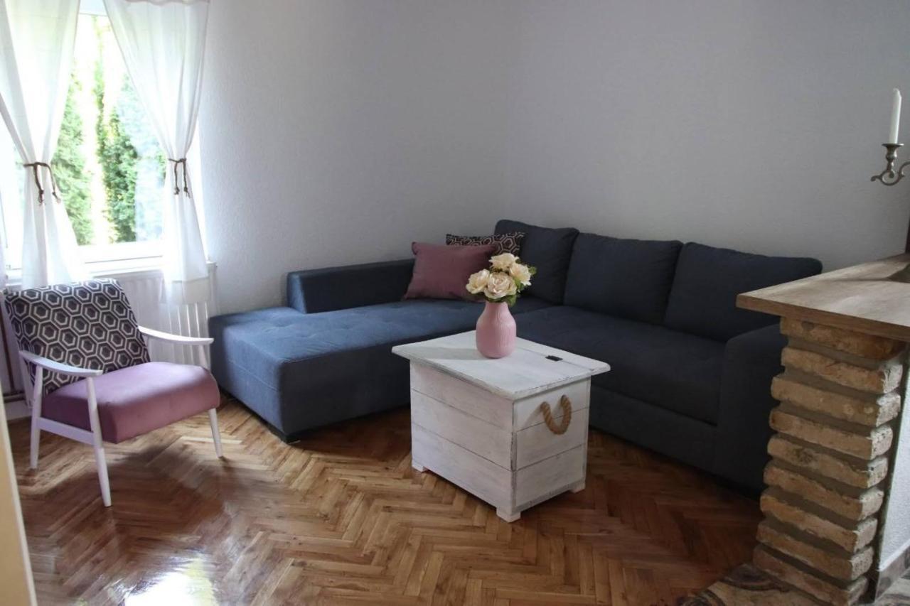 Palic Vila Masa Pr Emina Stipancevic Экстерьер фото